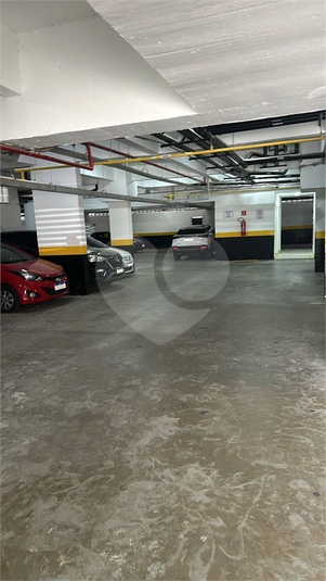 Foto REO1182267