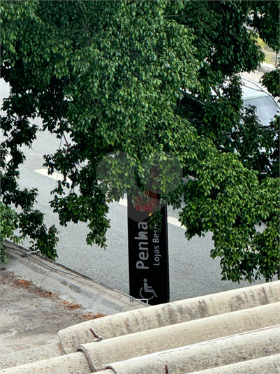 Foto REO1182268