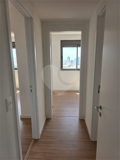 Foto REO1182269