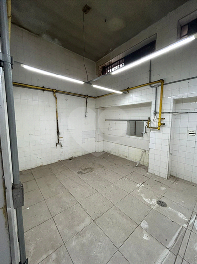 Foto REO1182275