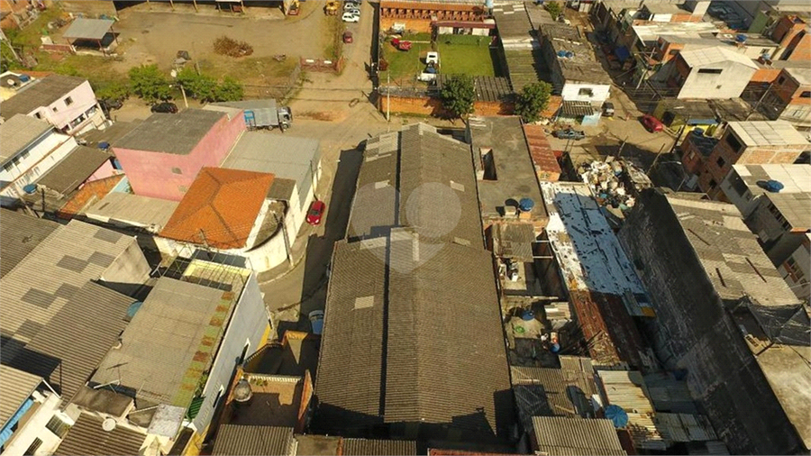 Foto REO1182287