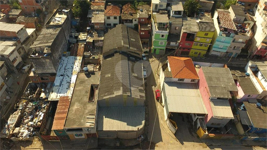 Foto REO1182287