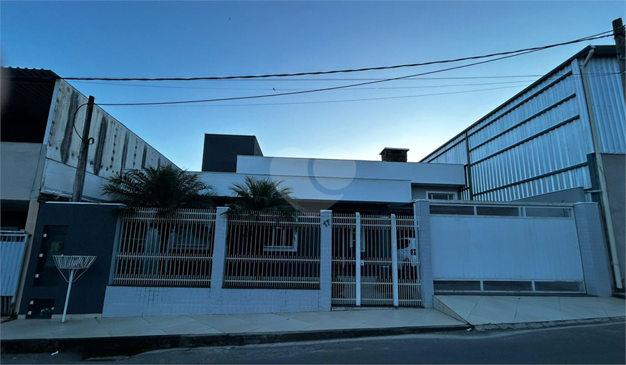Foto REO1182292