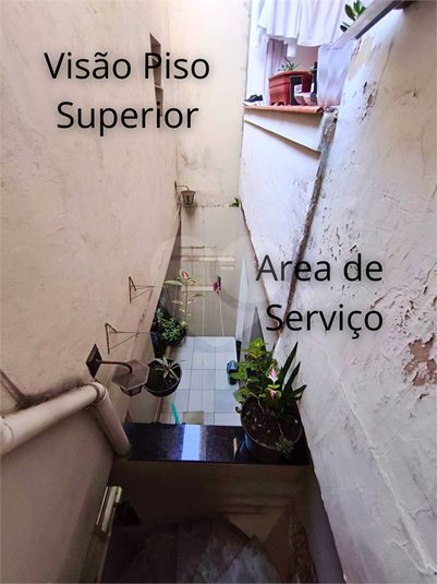 Foto REO1182298