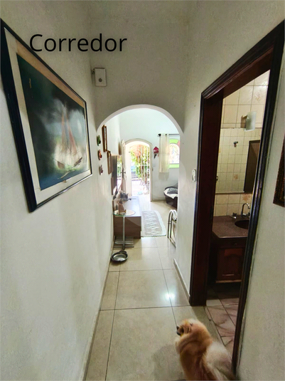 Foto REO1182298