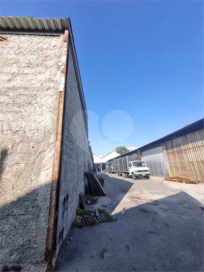 Foto REO1182306