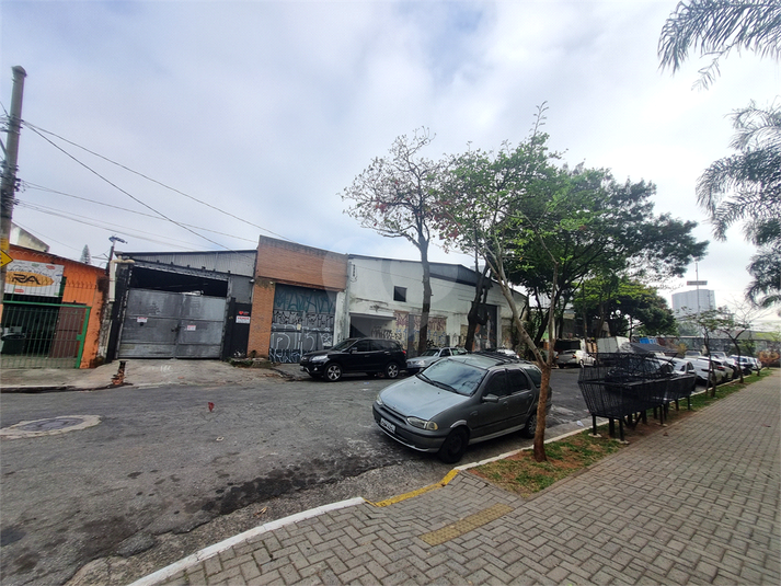 Foto REO1182306