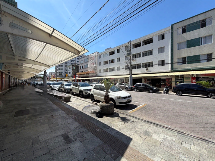 Foto REO1182329