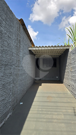 Foto REO1182339