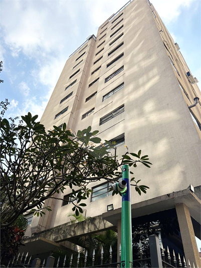 Foto REO1182344