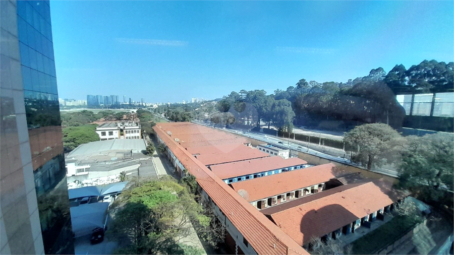 Foto REO1182368