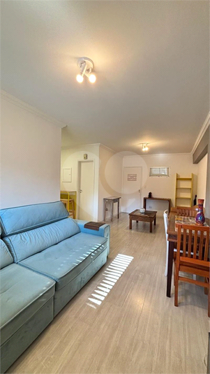Foto REO1182369