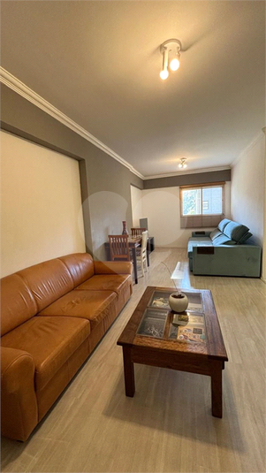 Foto REO1182369