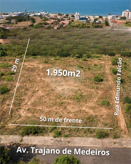 Foto REO1182370
