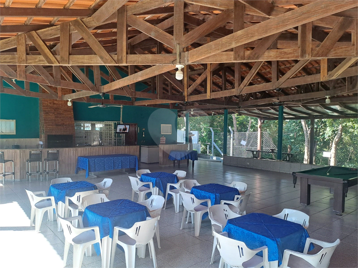 Foto REO1182376