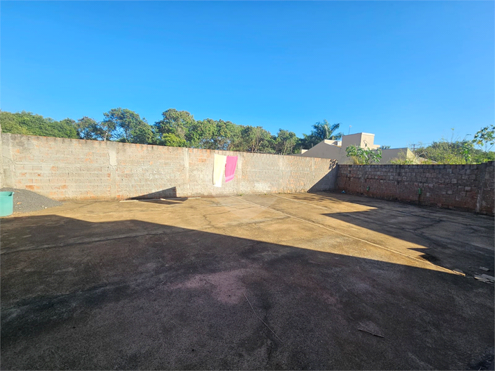 Foto REO1182402