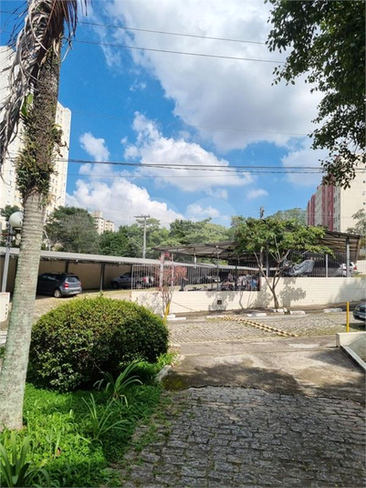 Foto REO1182443