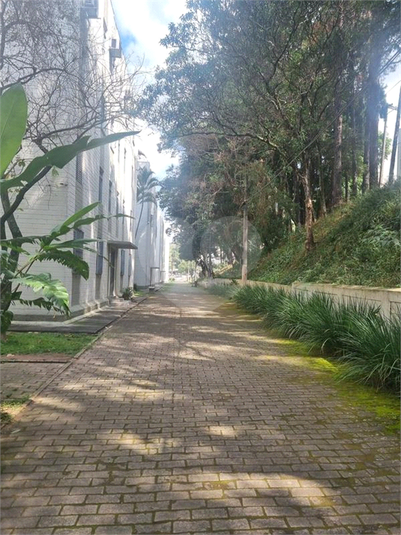 Foto REO1182443