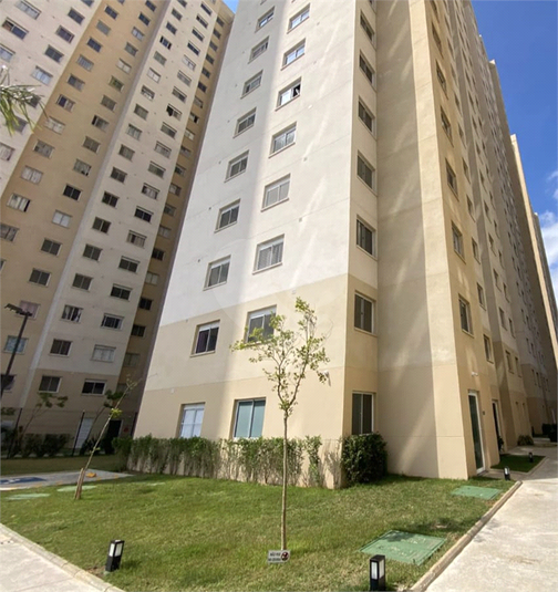 Foto REO1182447