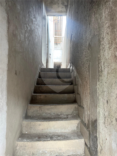 Foto REO1182458