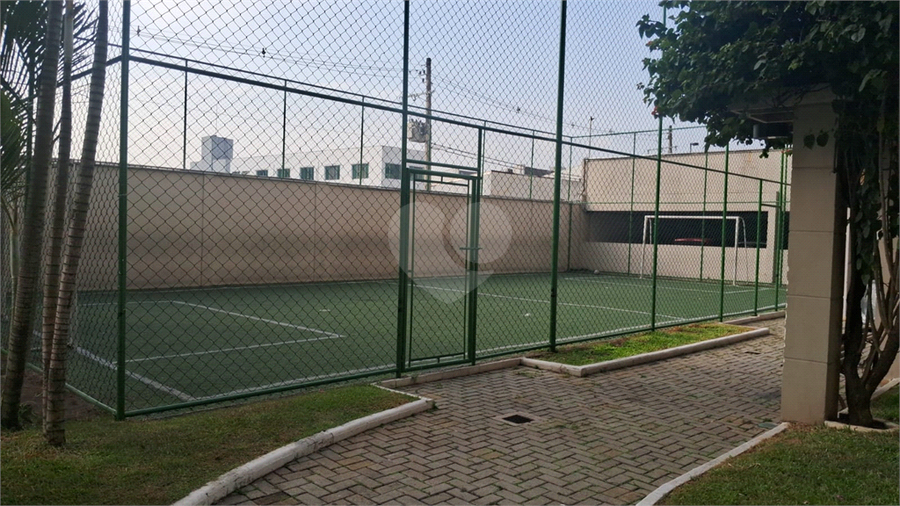 Foto REO1182464