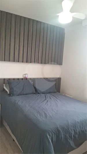 Foto REO1182464