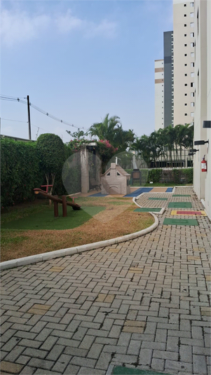 Foto REO1182464