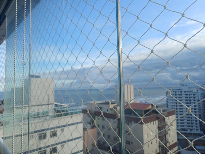 Foto REO1182473