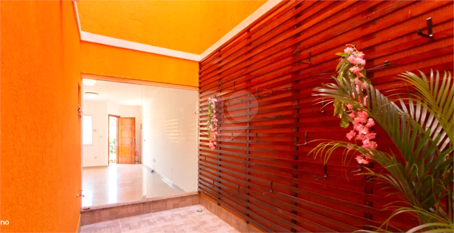 Foto REO1182476