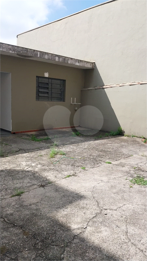 Foto REO1182477
