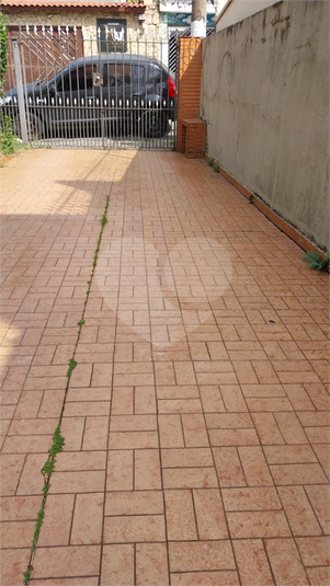 Foto REO1182477