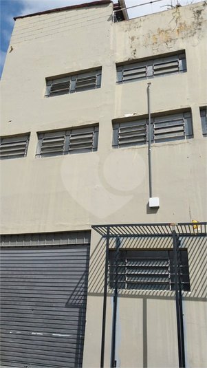 Foto REO1182477