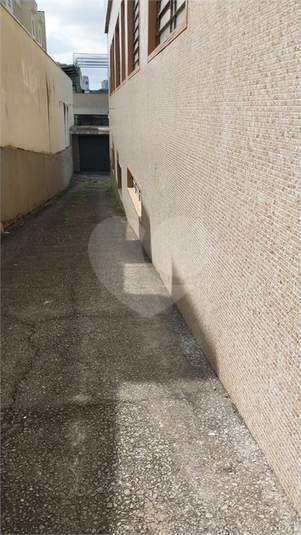 Foto REO1182477