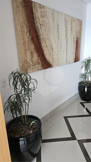 Foto REO1182485