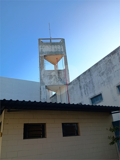 Foto REO1182488