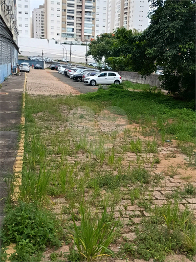 Foto REO1182488