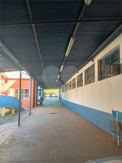 Foto REO1182488