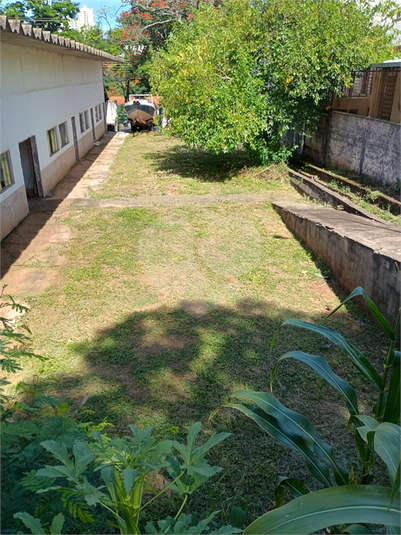 Foto REO1182488