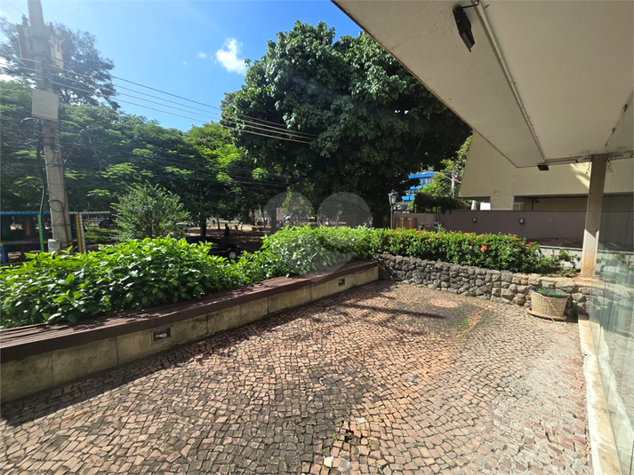 Foto REO1182496