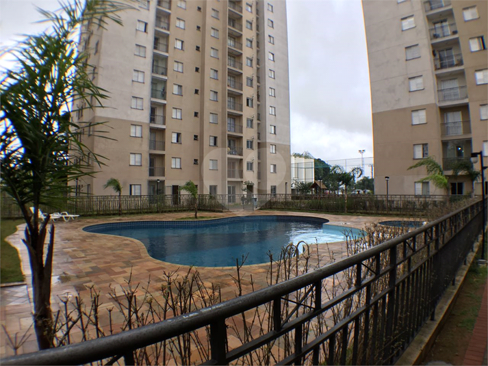 Foto REO1182539