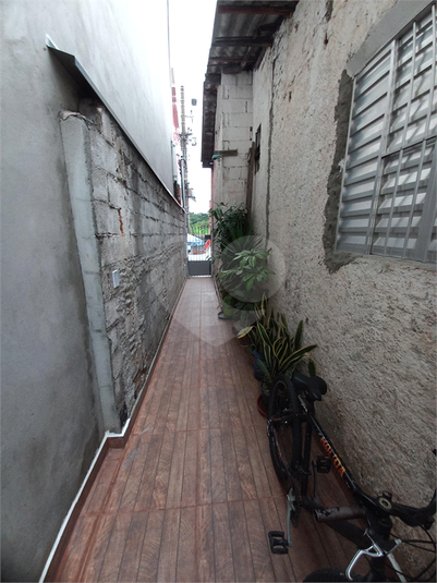 Foto REO1182546