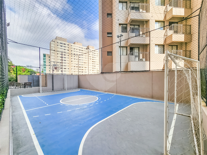 Foto REO1182551