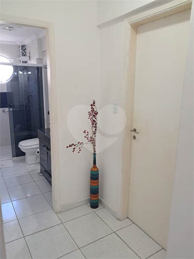 Foto REO1182554