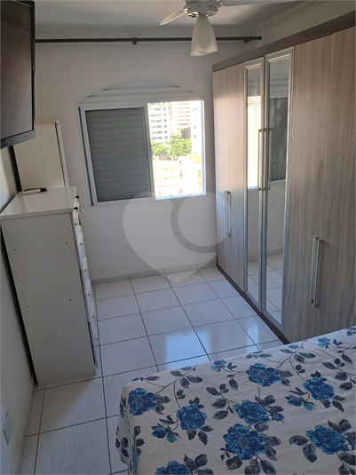 Foto REO1182554