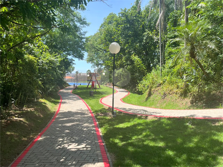 Foto REO1182557