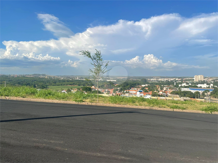 Foto REO1182557