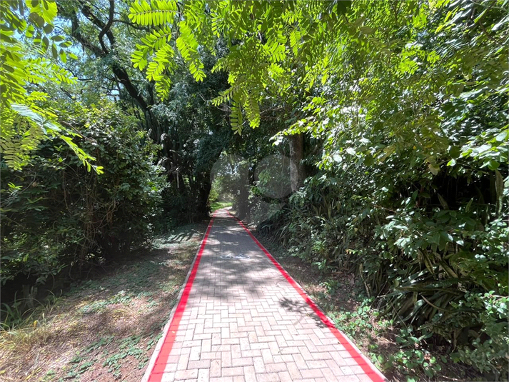 Foto REO1182557