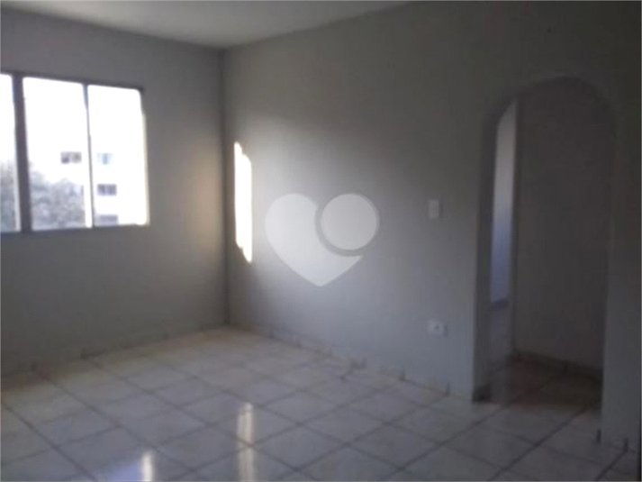 Foto REO1182561