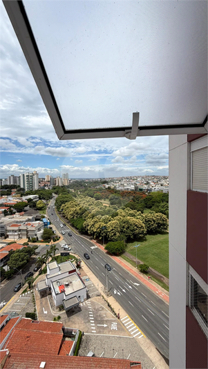 Foto REO1182564