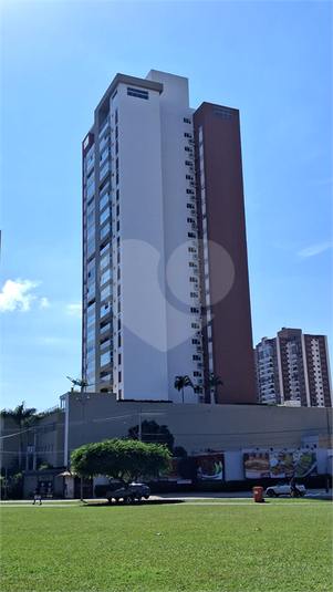 Foto REO1182564